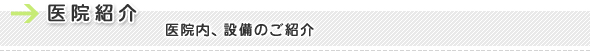 屡Ҳ 屡⡢ΤҲ