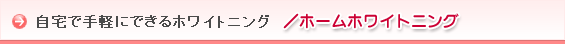 ǼڤˤǤۥ磻ȥ˥/ۡۥ磻ȥ˥