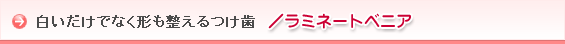 򤤤ǤʤĤ/ߥ͡ȥ٥˥
